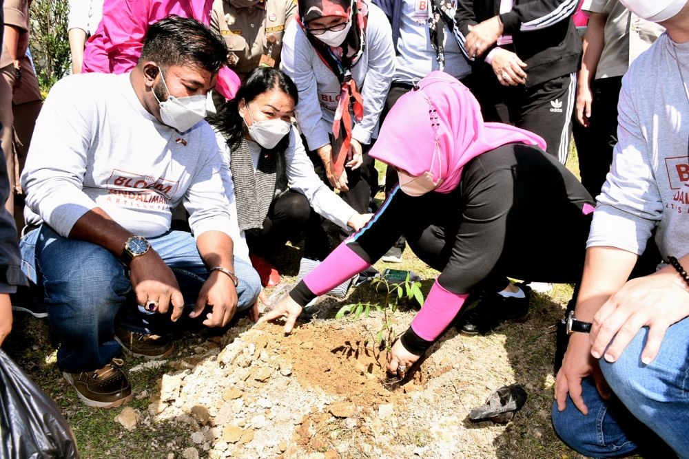 Rempah Khas Sumut, 1.200 Pohon Andaliman Ditanam di Karo