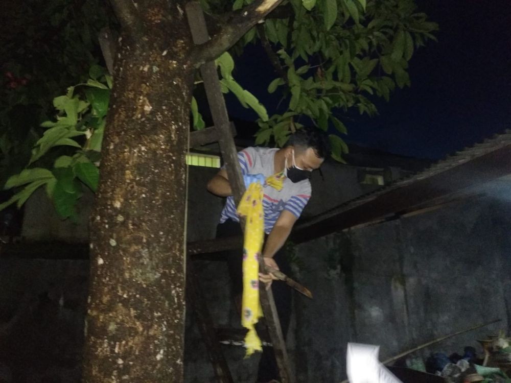 Seorang Pria di Mataram Ditemukan Meninggal Tergantung di Pohon Jambu 