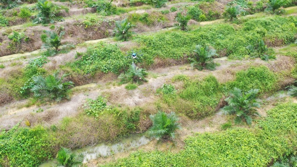 Pertama di Dunia, Aviro D16 Spray Gimbal Tunjang Otomasi Pertanian