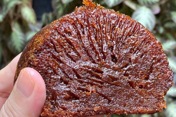 Resep Bolu Sarang Semut yang Legit ala Anak Kos, Lebih Hemat!