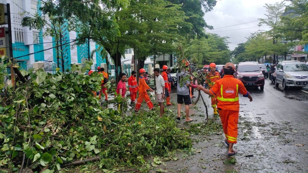 Angin Kencang di Makassar, Pohon Tumbang Timpa 3 Mobil dan 1 Bentor