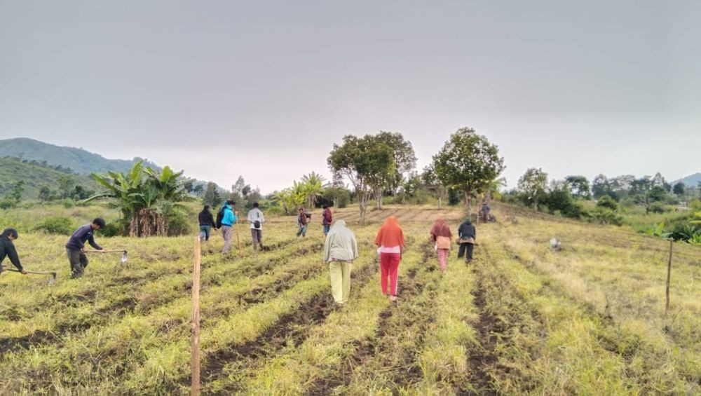 Petani Tolak Negosiasi PT SKE Soal HGU 150 Hektare Lahan di Sembalun