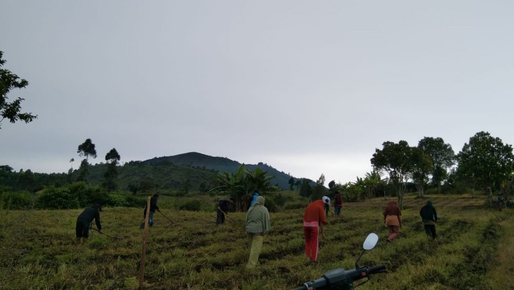400 Petani di Sembalun Tolak Redistribusi Lahan Seluas 150 Hektare