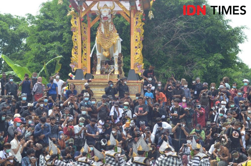 Ribuan Warga Iringi Pelebon Raja Puri Pemecutan Denpasar XI 