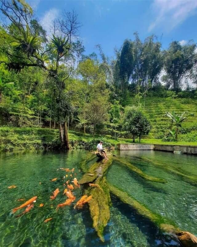 10 Rekomendasi Spot Wisata Di Sekitar Dieng Wonosobo