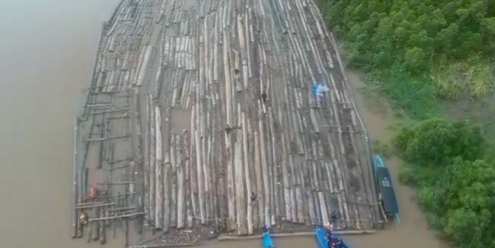 Ratusan Batang Kayu Pembalakan Berhasil Diamankan di Sungai Mahakam