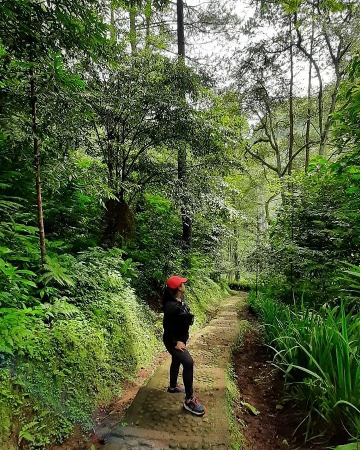 Taman Hutan Raya Djuanda 