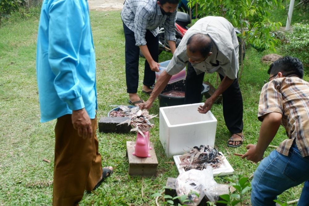 ITS Bikin UKM Pengolah Limbah Ikan Jadi Gelatin