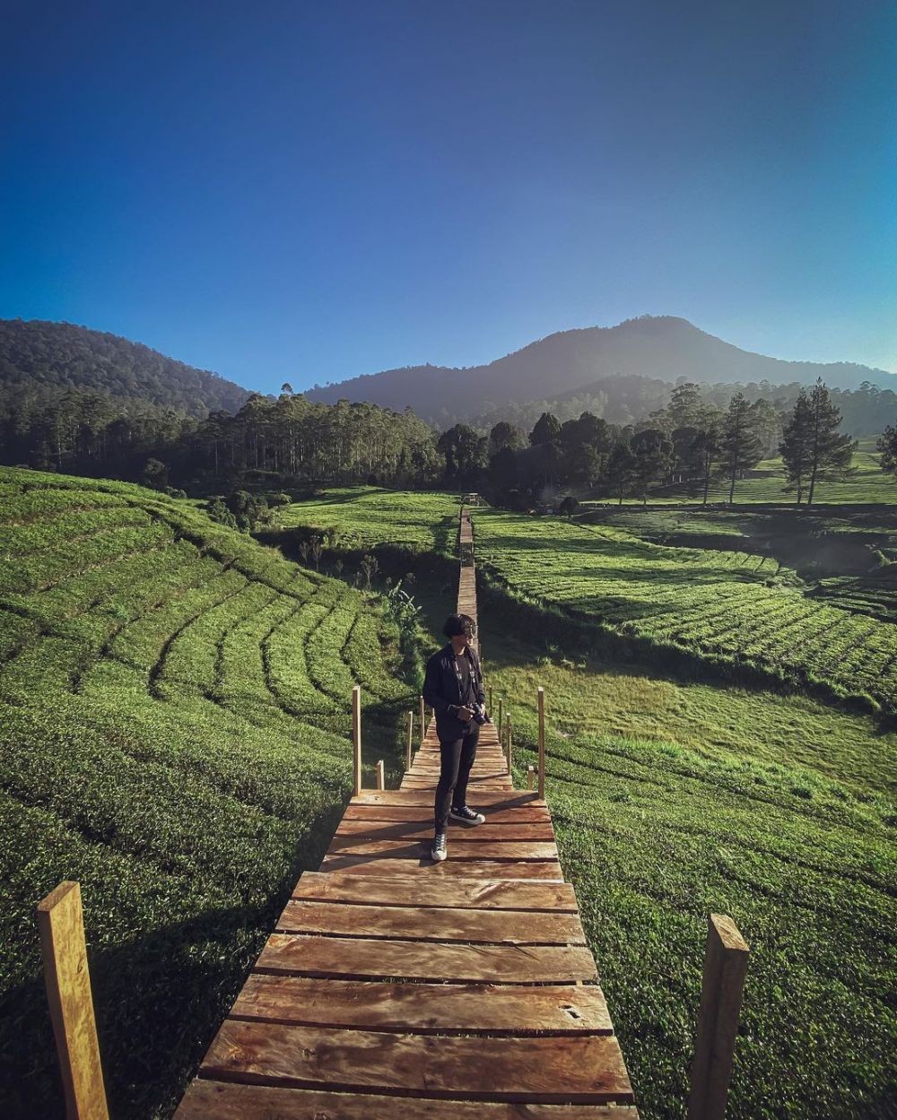 10 Tempat Wisata Alam Di Bandung Yang Paling Cantik