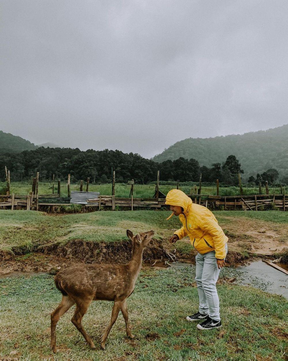 10 Tempat Wisata Alam di Bandung yang Paling Cantik