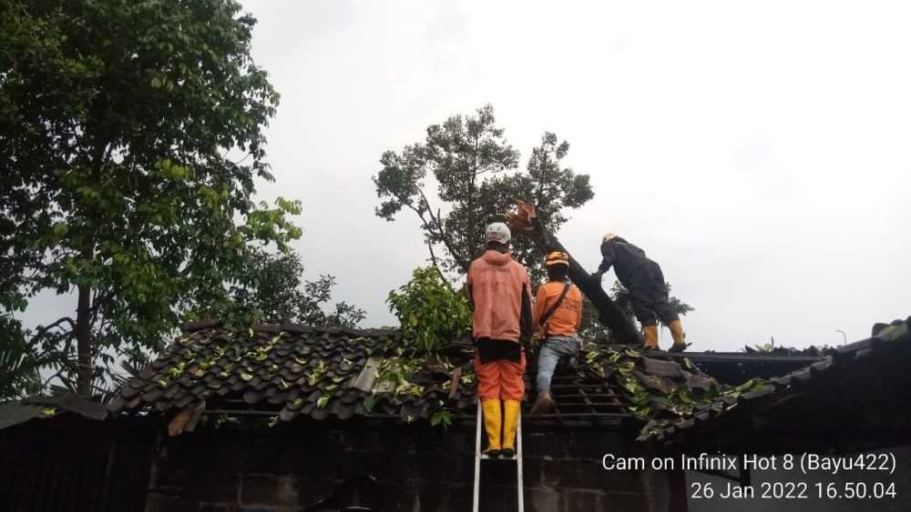 Puluhan Pohon di Sleman Tumbang dan Atap Rumah Beterbangan