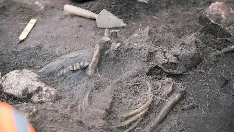7 Penemuan Arkeologi yang Paling Aneh dan Misterius