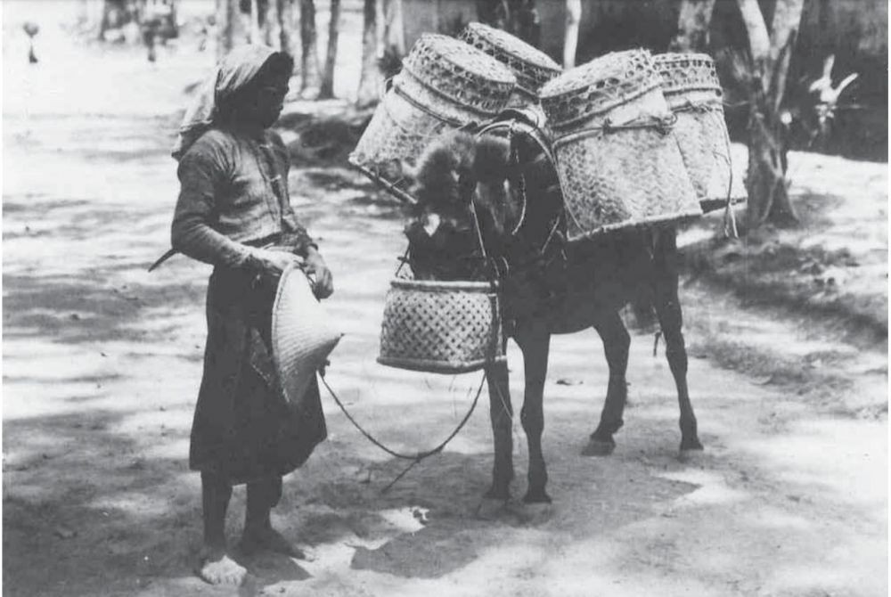 10 Potret Lawas Kota Denpasar