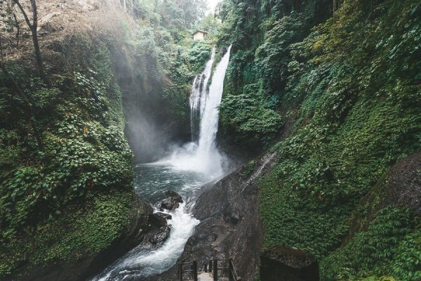 https://cdn.idntimes.com/content-images/post/20220202/aling-aling-waterfall-tour-1206-0e1b1fe4437322830af4f9bfd6dd2f37_200x200.jpg