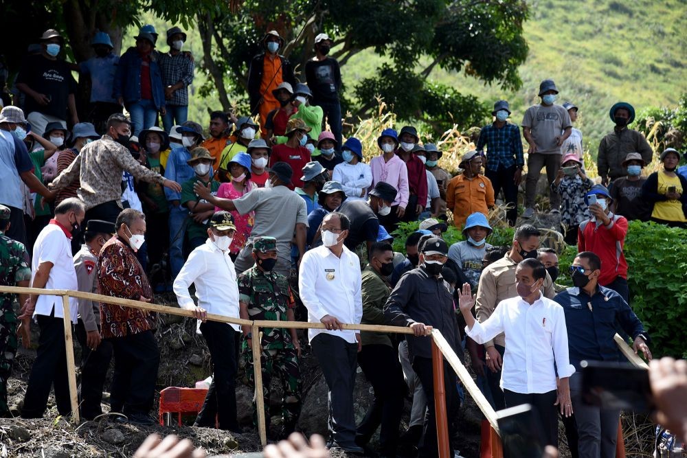 Momen Jokowi Tanam Macadamia di Desa Simangulampe 