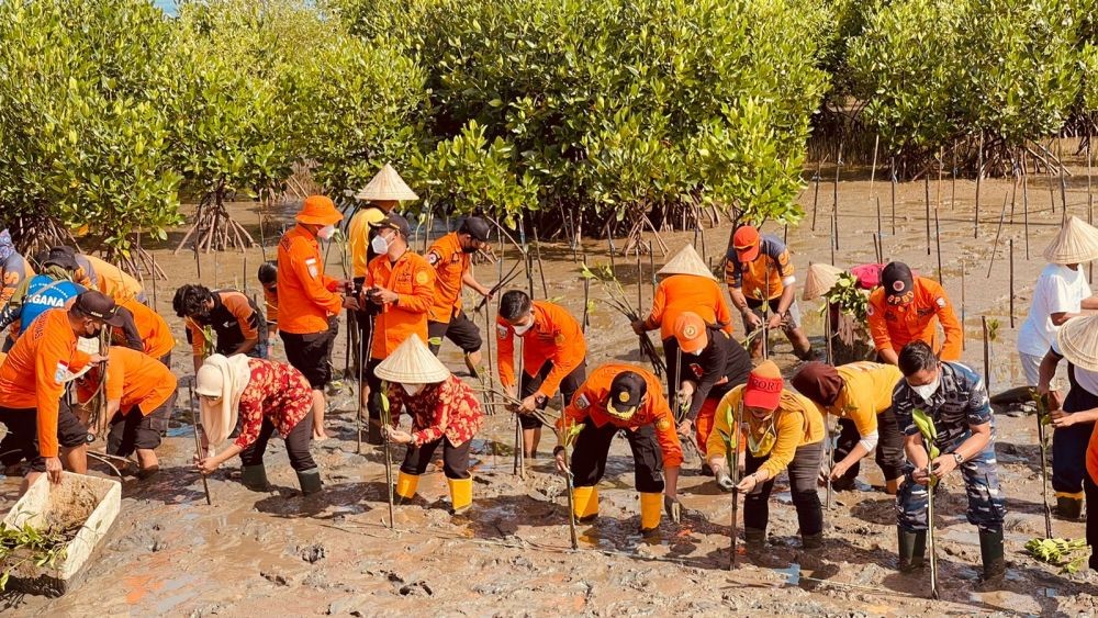 Pegiat Mangrove Kecam Perusak Hutan Mangrove Lubuk Kertang