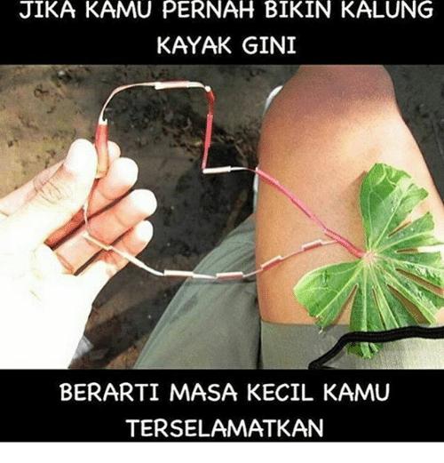 Pernah Lakukan Ini saat Bocah? 10 Meme Kocak Masa Kecil Terselamatkan