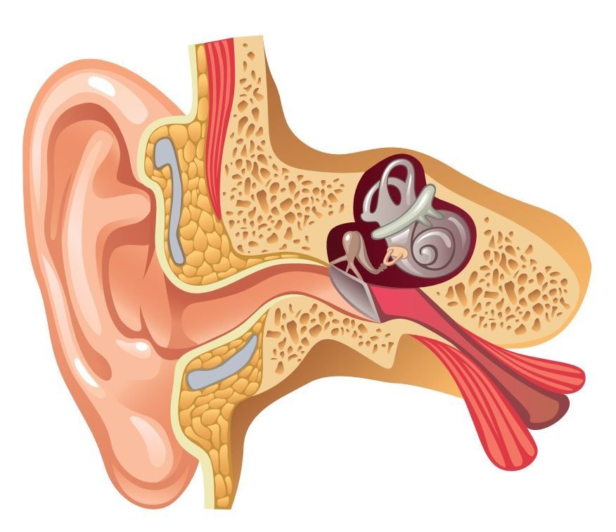 7 Masalah Telinga yang Sering Dialami Banyak Orang