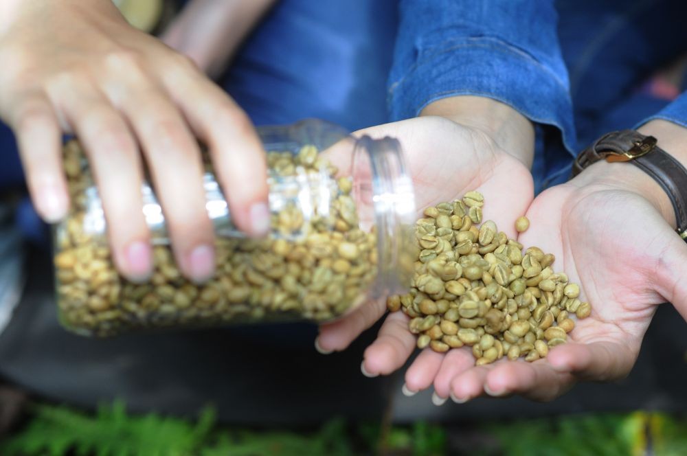 Budaya Minum Kopi Meningkat di Sumut, Ini Penyebabnya