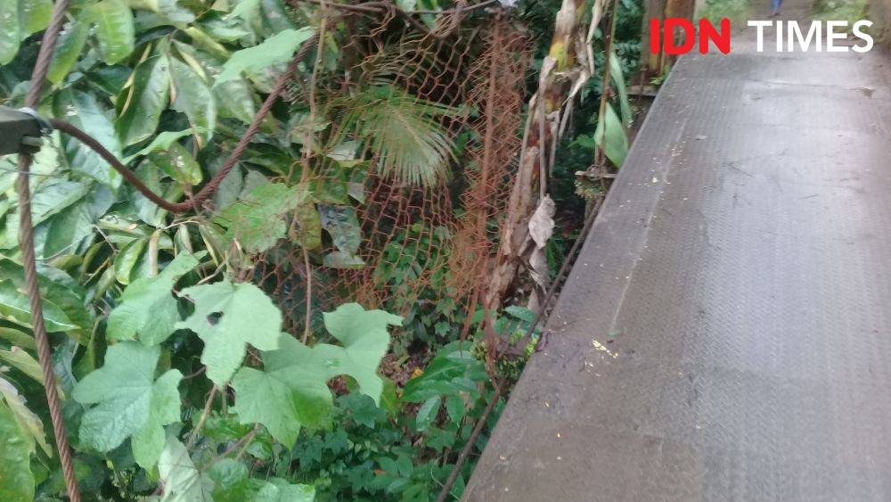 Potret Jembatan Gantung Desa Margatirta Lebak Rusak, Warga Terjatuh