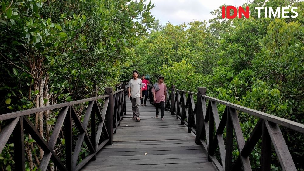 Potret Taman Mangrove Kuala Langsa, Wisata Bahari Andalan Kota Langsa