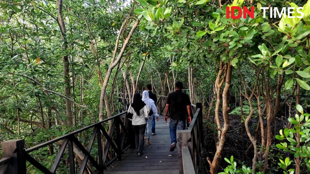 Pemerintah Restorasi Lahan Mangrove di Sekitar Kawasan IKN