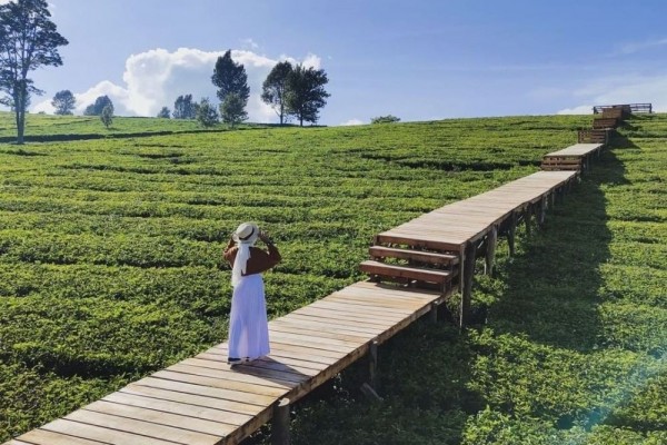 10 Wisata Alam di Bandung 2022, Bucket List Liburan saat Ambil Cuti