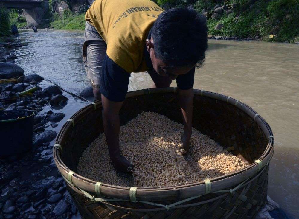 Ada Dana Desa Rp16,2 T Buat 2025, Zulhas: Harus Untuk Pangan