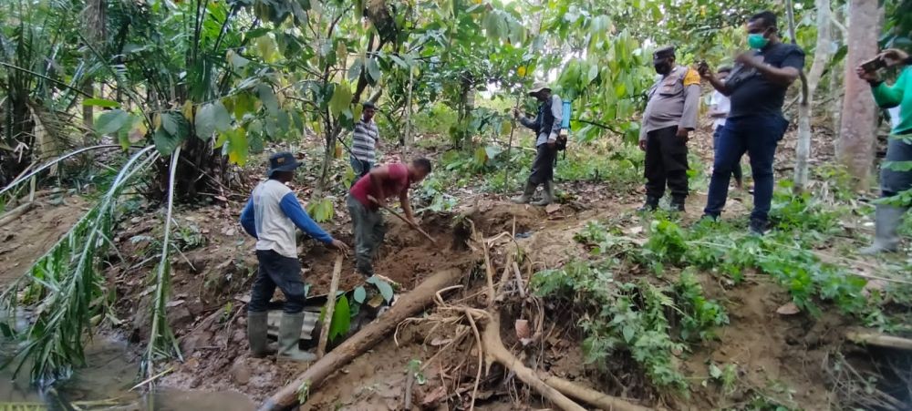 Bayi Gajah Sumatra Ditemukan Mati di Alur Sungai Pidie