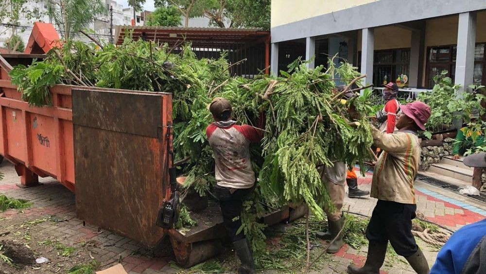118 Pohon Tumbang, Pemkot Surabaya Minta Warga Jangan Suka Bakar Akar
