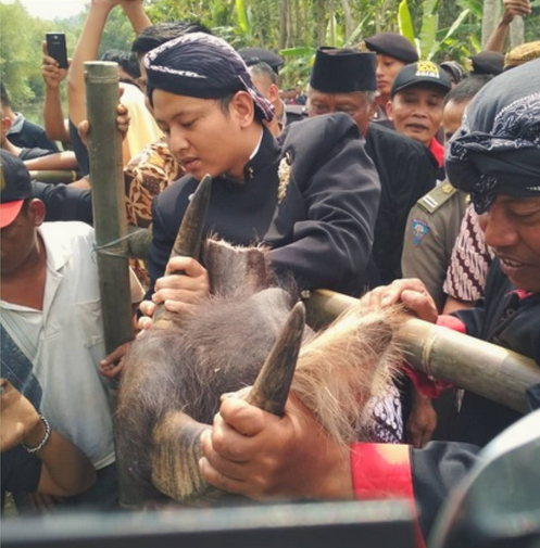 7 Upacara Adat di Jawa Timur yang Masih Lestari