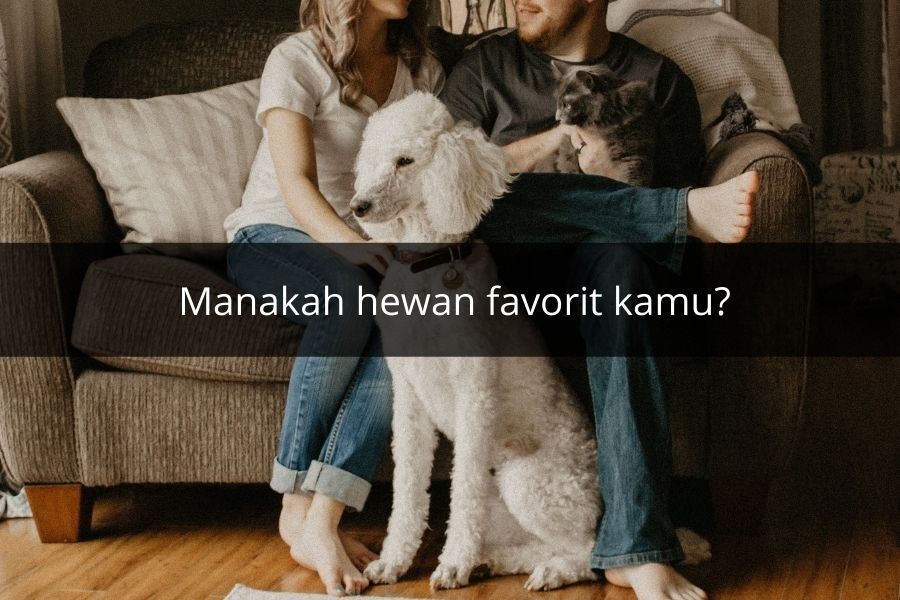 [QUIZ] Hewan Favorit Kamu Ungkap Sifat Aslimu