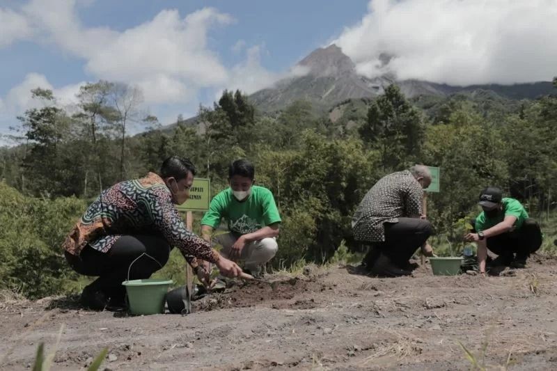 Kabupaten Sleman Kembangkan Tanaman Kopi di Lereng Gunung Merapi