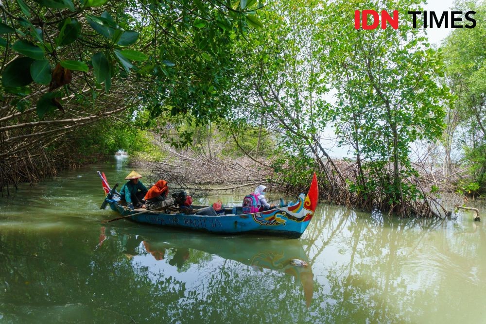Upacara di Kampung Tenggelam Demak, Ingin Merdeka dari Perusakan Lingkungan