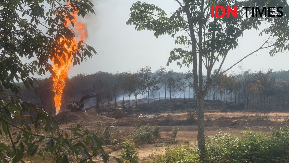 Api Sumur Minyak Keban yang Meledak Diprediksi Padam 2 Tahun Lagi