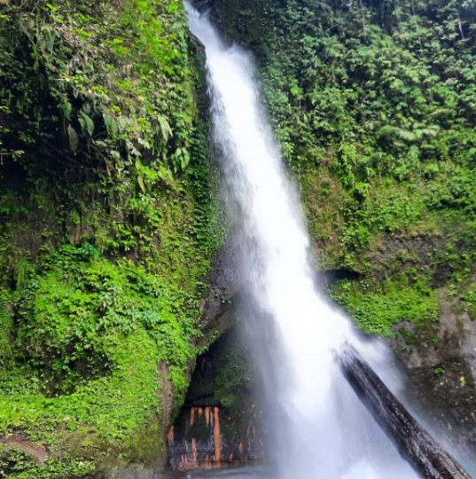 Berwisata ke Air Terjun Tongkat: Info, Rute, dan Harga Tiket