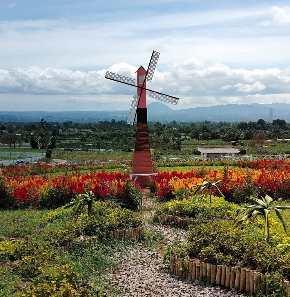 Mengintip Keindahan Taman Seribu Bunga Desa Raya Kabupaten Karo
