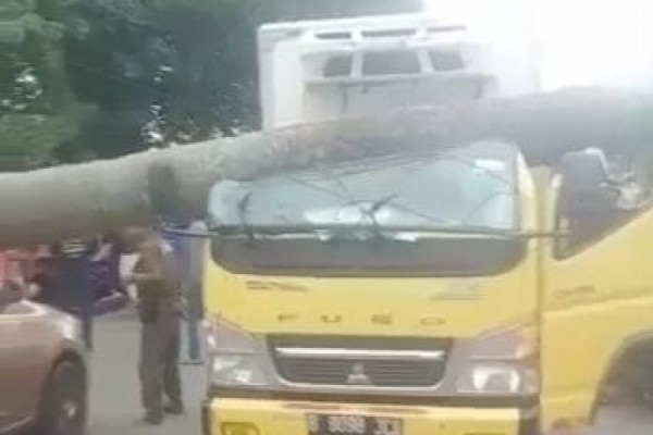 Angin Kencang Picu Pohon Tumbang di Beberapa Wilayah Banten