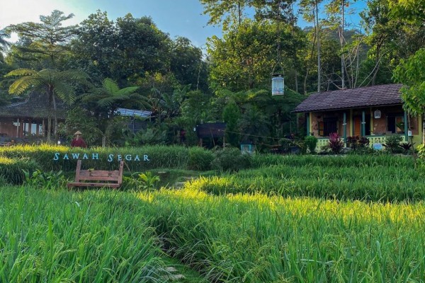 10 Wisata Alam di Sentul-Bogor yang Cocok Dijadikan Tempat Healing