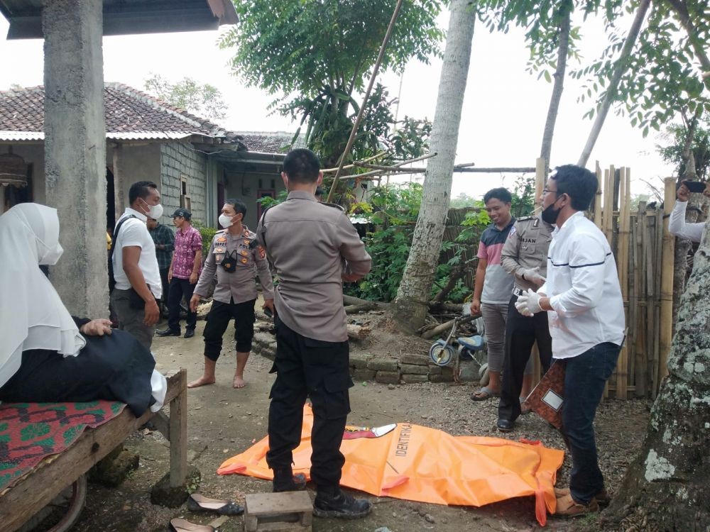 Penemuan Tengkorak Manusia di Sawah Hebohkan Warga Lombok