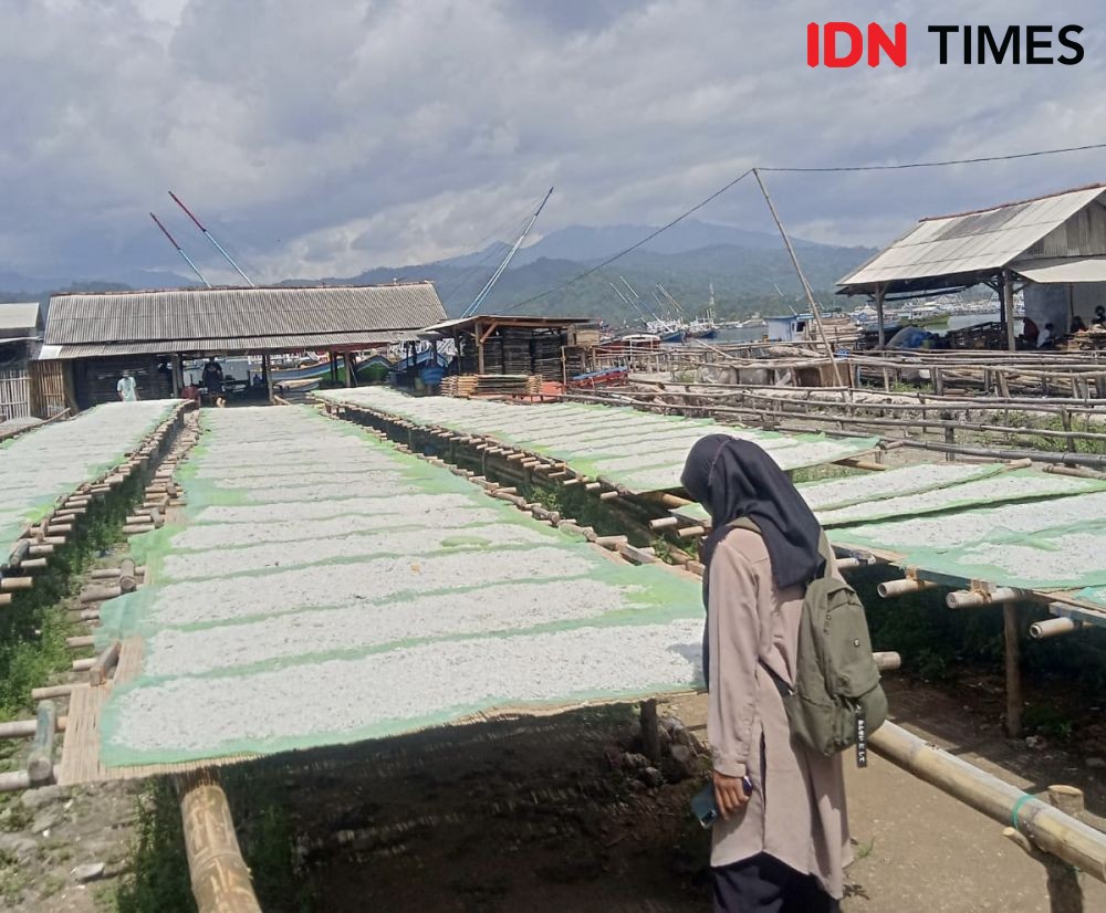 Pulau Pasaran Bandar Lampung Salah Satu Desa Wisata Ajang ADWI 2022