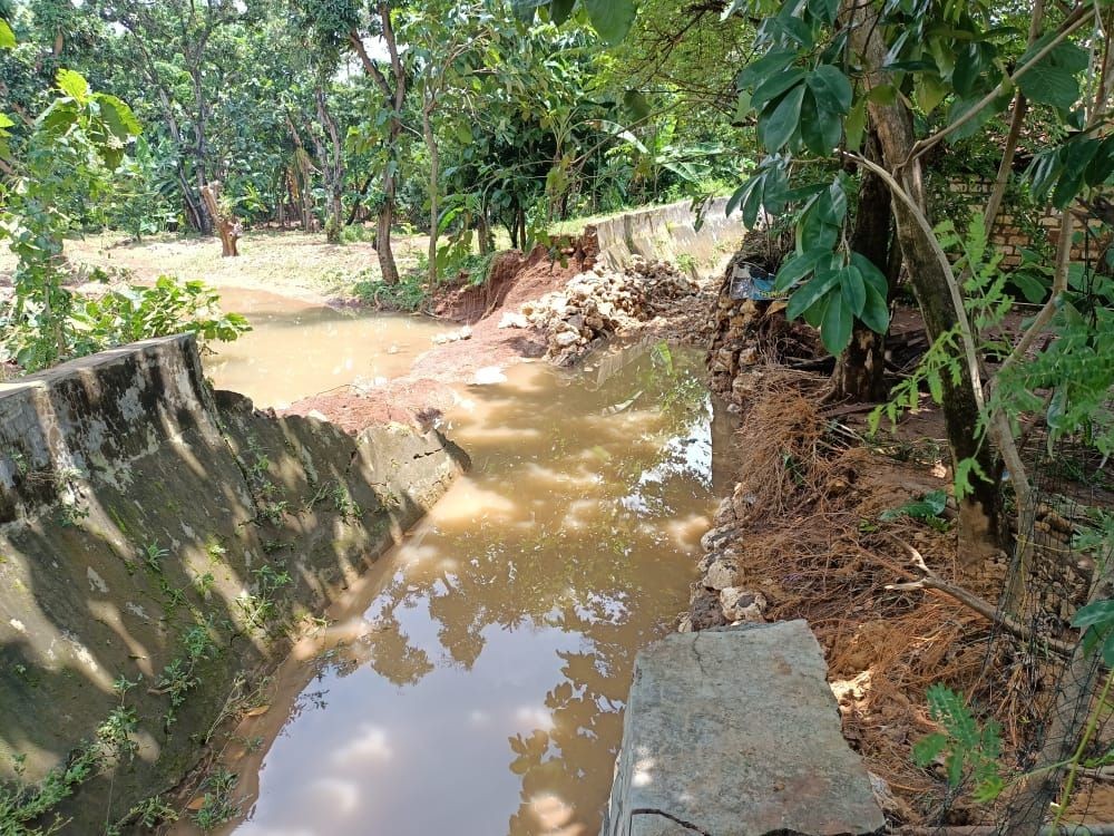 Banjir di Tuban, Satu Orang Meninggal dan Puluhan Rumah Rusak 