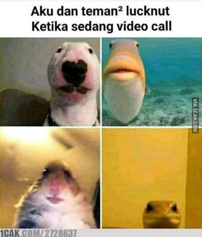 10 Meme Lagi Video Call Ini Kocaknya Pasti Pernah Kamu Alami