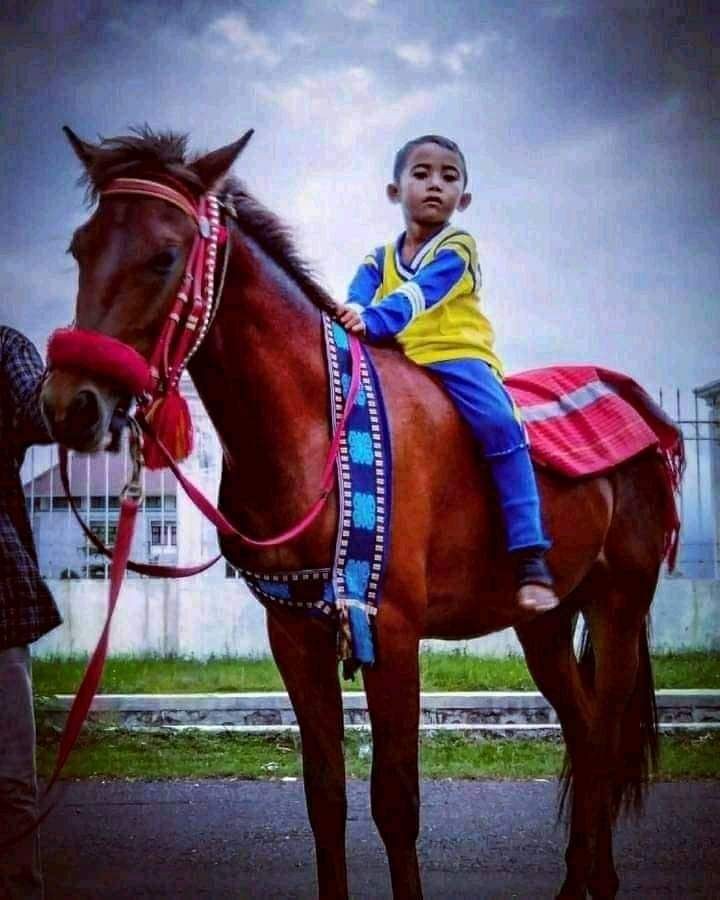 Joki Anak Tewas dalam Pacuan Kuda, Pemprov NTB Sebut sebagai Musibah 