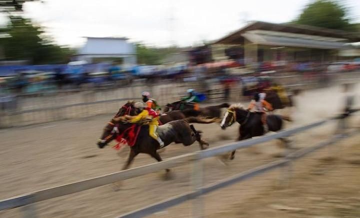 Tiga Nyawa Joki Cilik Malayang Demi Tontonan Pacuan Kuda di Bima