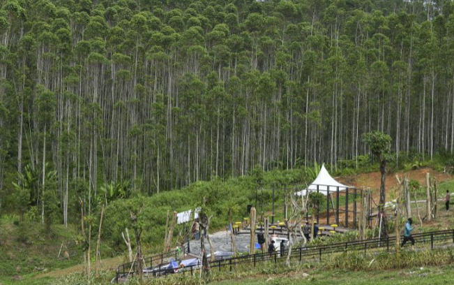 Ribuan Pekerja akan Masuk untuk Mempercepat Pembangunan IKN