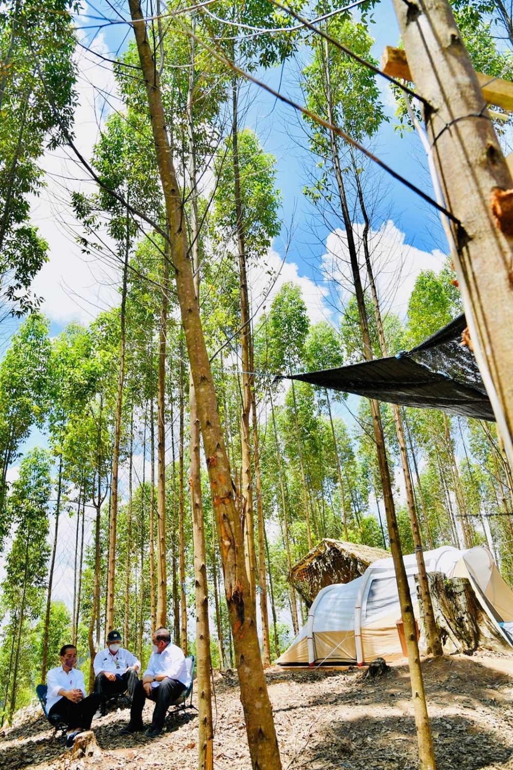 Toilet Kemah Jokowi di IKN Pakai Shower, Istana: Gayung Lebih Boros