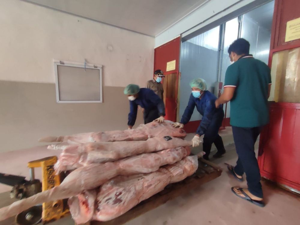 Karantina Kaltim Musnahkan Daging Babi dari Malaysia dan Singapura