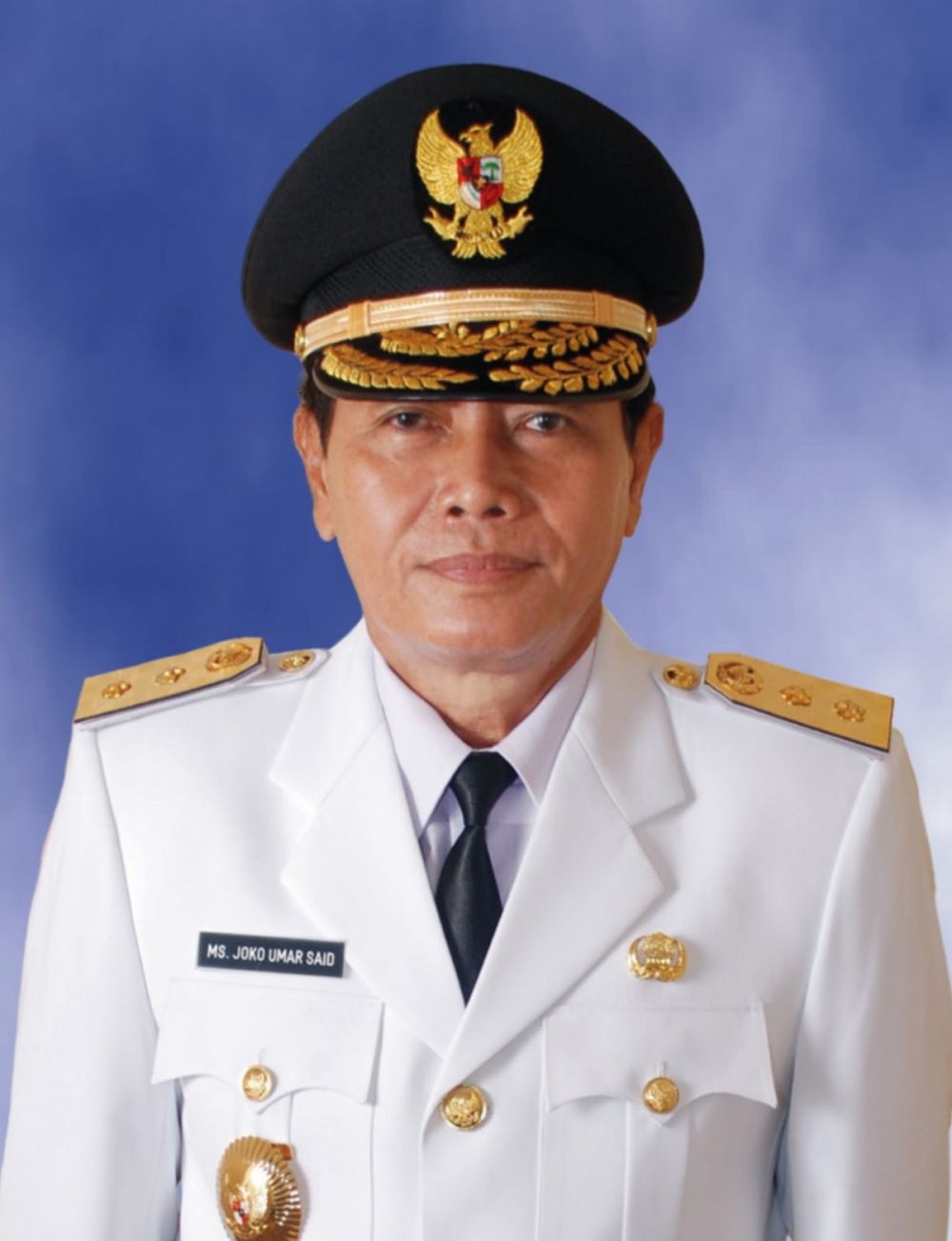Hari Ini HUT ke-58, Ini Wakil Gubernur Lampung dari Masa Ke Masa