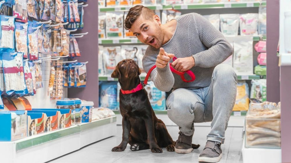 6 Rekomendasi Pet Shop Terlengkap di Jogja, Jadi Langganan